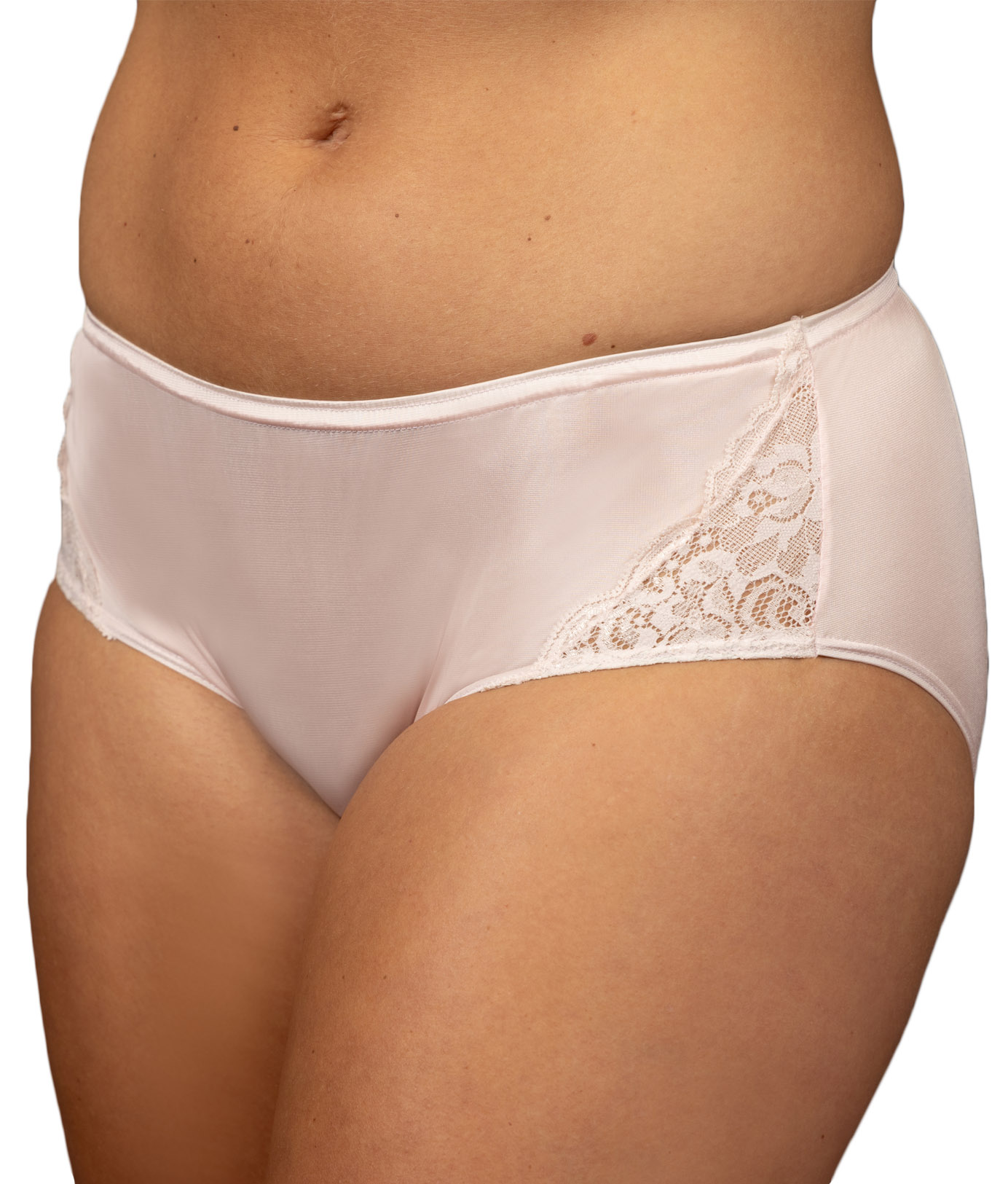 Women's Shadowline 17042 Pants & Daywear Nylon Classic Brief Panty (Nude 7)
